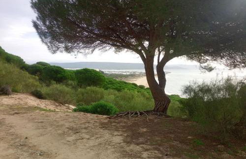 El Ronqueo Apartment - Foto 3