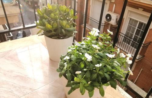 Céntrico Apartamento Vara de Rey - Foto 8