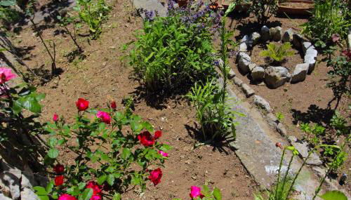 Villa Matilde Amalfi - Foto 4, Garden