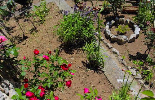 Villa Matilde Amalfi - Foto 4