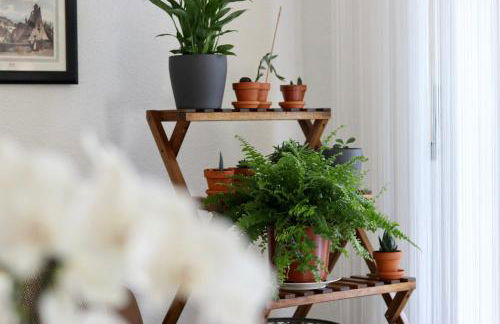 Biburg86420 - Foto 7