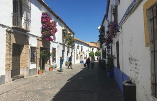 La Condesa de Vallellano - Foto 38