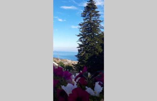 Casa Isabella - Foto 30