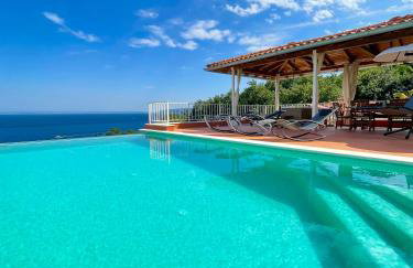 VILLA LOVRAN - 150 m to the beach - infinity pool - incredible sea view - fitness gym - Foto 1