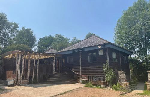 Tree Tops Holiday Let & Sauna South Downs West Sussex Sleeps 10 - Foto 1