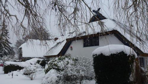 Landhaus Darss - Foto 2