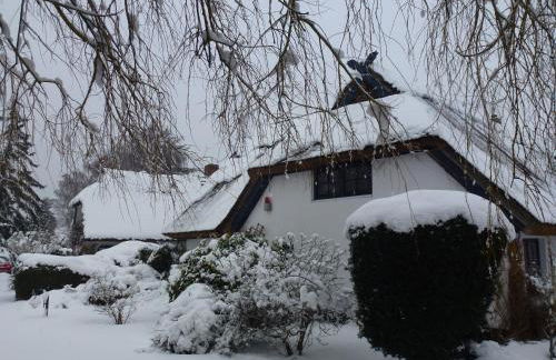 Landhaus Darss - Foto 2