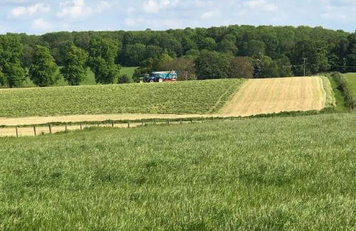 Moo Cow Cottage Self Catering - Photo 39