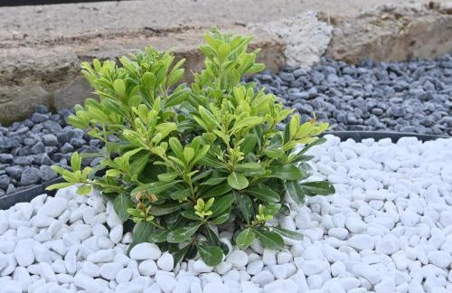 La Madia- Ferienhaus - Photo 76