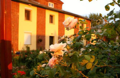 Ferienwohnungen Amselweg - Foto 5