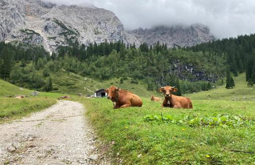 Haus Niklos - Wank - Photo 3