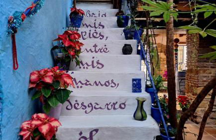 El patio azul Bohemio Mágico - Foto 45