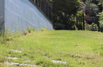 Poplar Lodge, Dee Valley Stays - cosy microlodge with detached private shower & WC - Photo 4