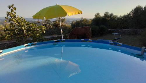 Poderino La Noce - Foto 2