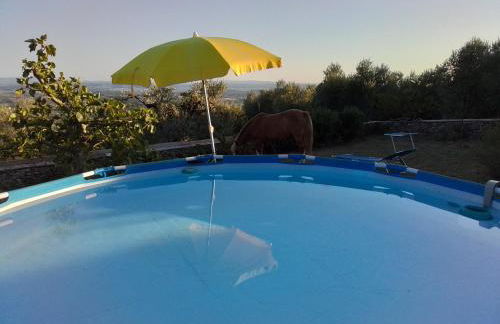 Poderino La Noce - Foto 2