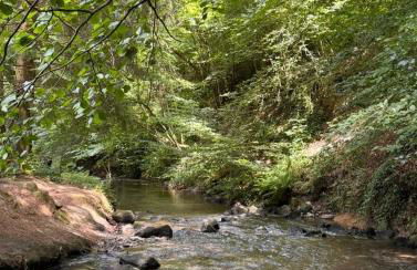 Hof zur Nette -Stilvoller Rückzugsort im Herzen des Maifelds - Foto 38