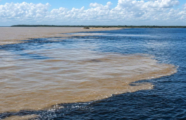 Rio Negro Safari - Foto 9