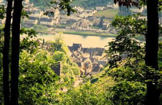 Mosel Panorama - Foto 58