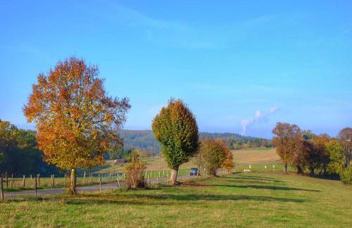 Altstadt Blieskastel, Gerbergasse - Photo 15