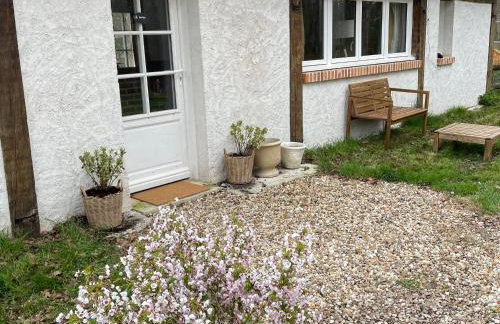 Gîte cosy en Sologne, nature et pêche, tout inclus - FR-1-590-549 - Foto 26