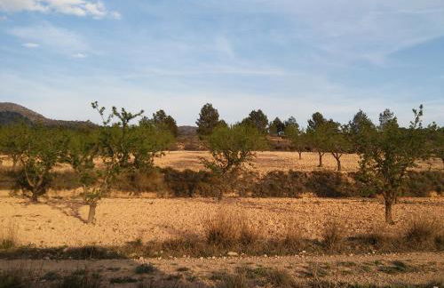 Casa rural el Carmen de la Sierra - Foto 29
