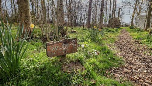 Yewberrie Yurt - Foto 2