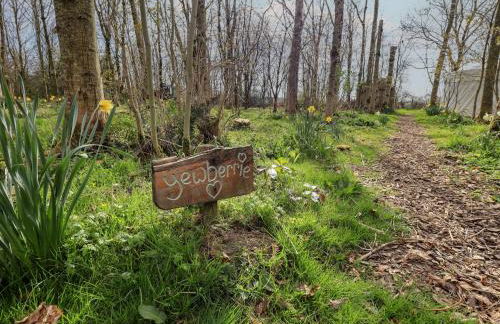Yewberrie Yurt - Foto 2