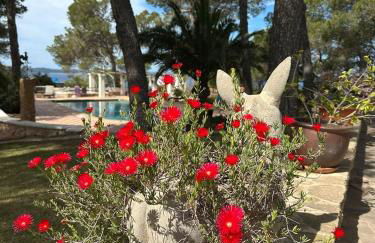 Villa Colina Ibiza - Photo 27