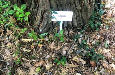 "Clair de Lune" Gîte sur 6000 m2 arborés - Foto 27