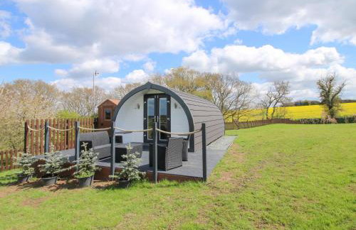 Cherry Pod 2 - Foto 17