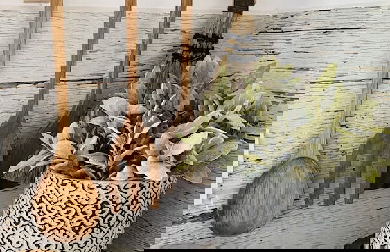 Linari Bohemian Living - Foto 15