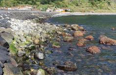 Casa do Monte - Photo 72