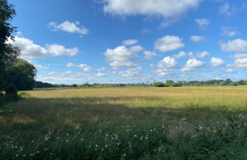 NEU! Luxus Apartment - Foto 15