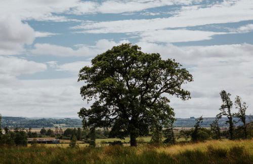 Cardross Holiday Cottages - Foto 50