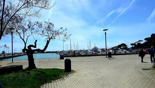 Elite19 Apartment - Photo 4