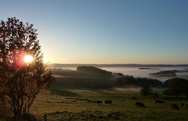 Speedys Gästehaus - Foto 50