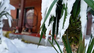 Kuća za odmor Anita - Foto 3