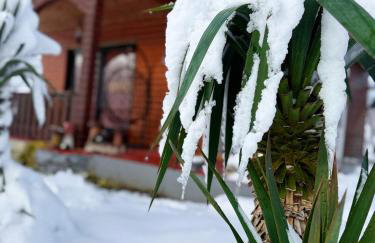 Kuća za odmor Anita - Foto 3