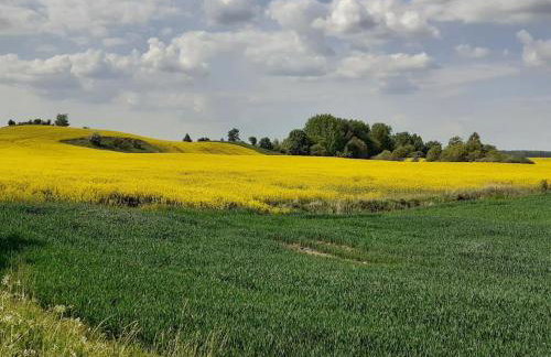 Beautiful holiday home in Masuria on river and lake - Foto 49