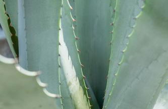 Casa Il Nocciolo - Foto 52