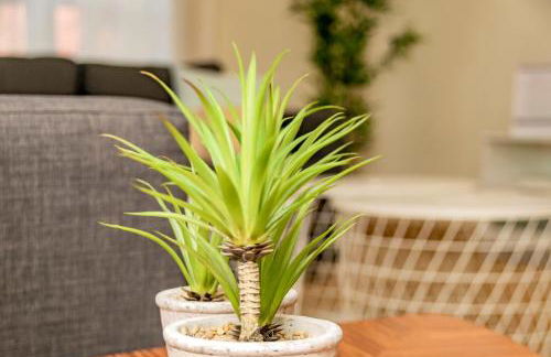 Velazquez Suites - Foto 57