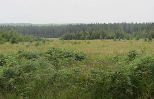 Lovely apartment in Monschau - Foto 16