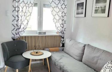 Domki Boszkowo-Dominice Bliźniak 2 apartamenty - Foto 1