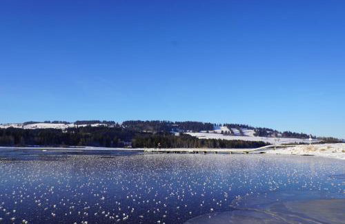 FeWo BergZeit auf 1000 m Höhe mit Balkon, Parkplatz, WLAN, Küche - Photo 34