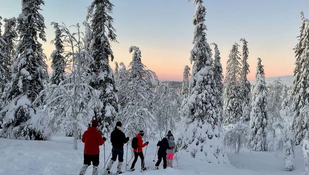 Percorrendo il parco Pallas-Yllästunturi
