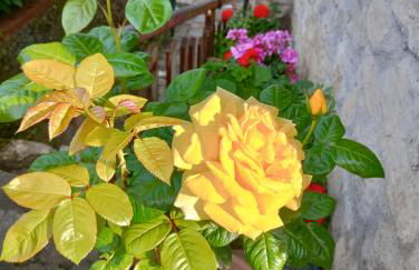 Casetta nel Podere di Massi - Foto 57