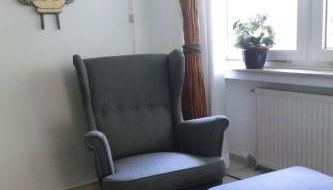 Wald und Wiese - Foto 5