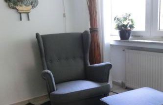 Wald und Wiese - Foto 5