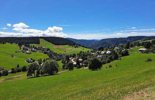 La Petite Retraite - Ein Idyll in Todtnauberg - Foto 39