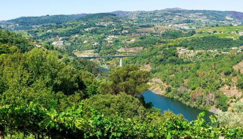 Cherry Douro Hill - Foto 2